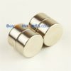 2pcs 20mm dia x 10mm dik Neodymium schijf magneet N35 Ronde Super sterke Rare Earth Disc Magneten Sale Lowes
