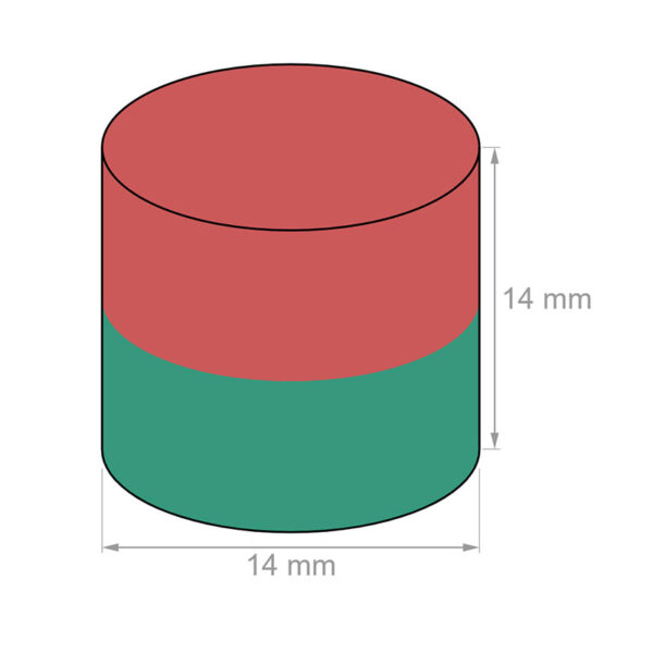 14mm dia x 14mm thick Neodymium Disk Magnet N35 Strong Round 14x14mm Rare Earth Cylinder Magnets Home Depot - Immagine 2