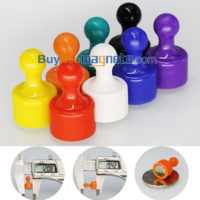 1 set puntine magnetiche per magneti colorati per lavagna bianca (12diametro mm x altezza 19 mm)